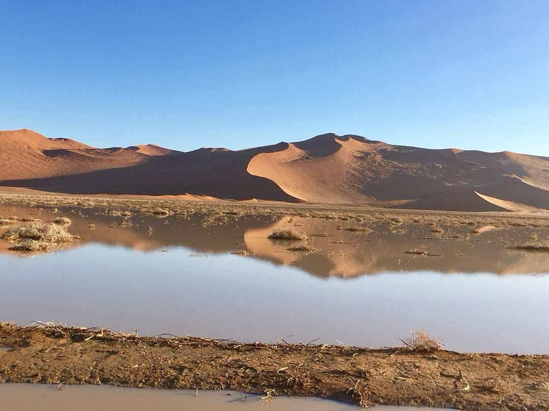 Namibia Budget Safari 2026, 7 Days