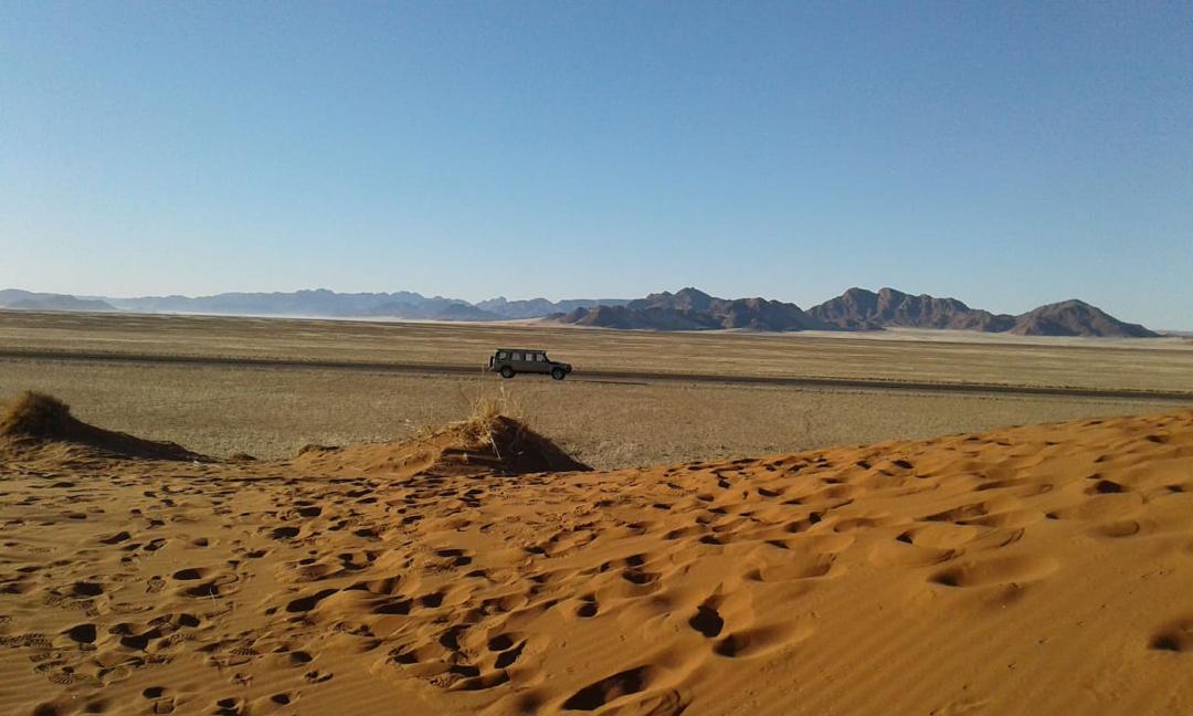 Namibia Budget Safari 2026, 7 Days