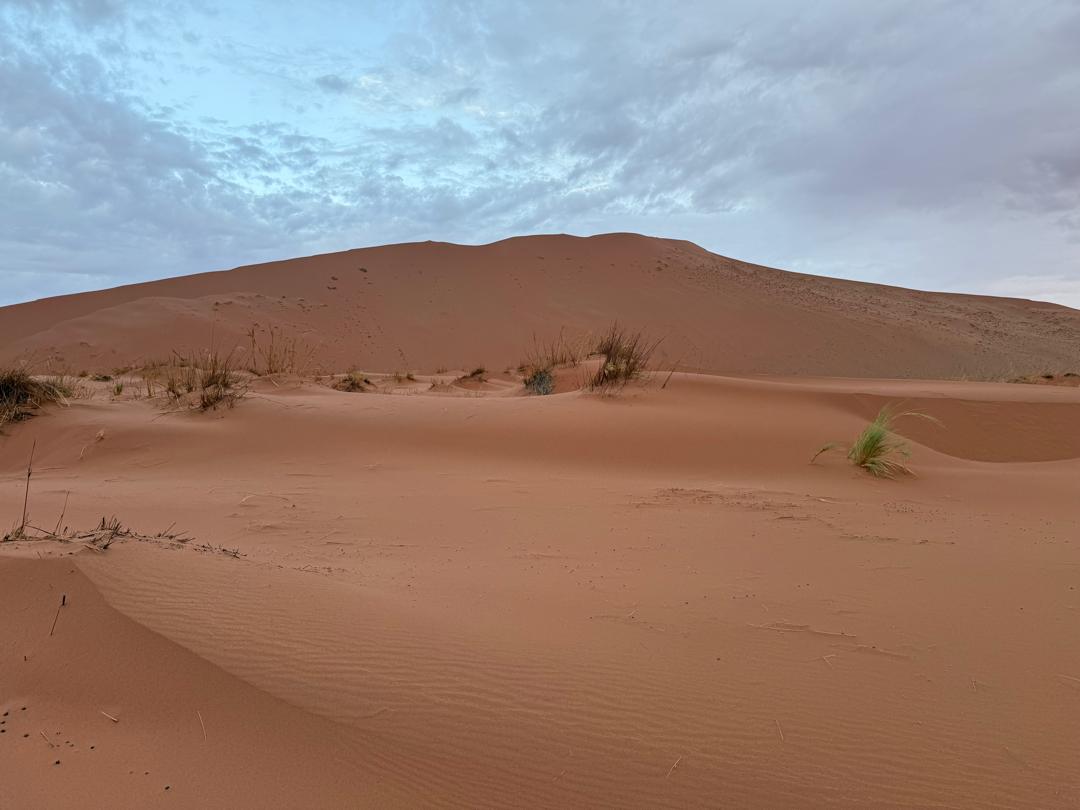 The red dunes of Sossusvlei, Namibia