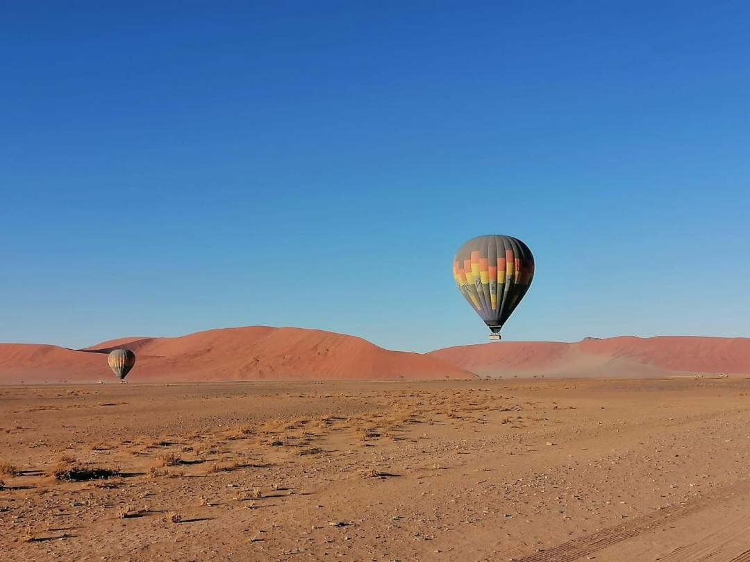 Guinea Fowl Tours and Safaris travel photo
