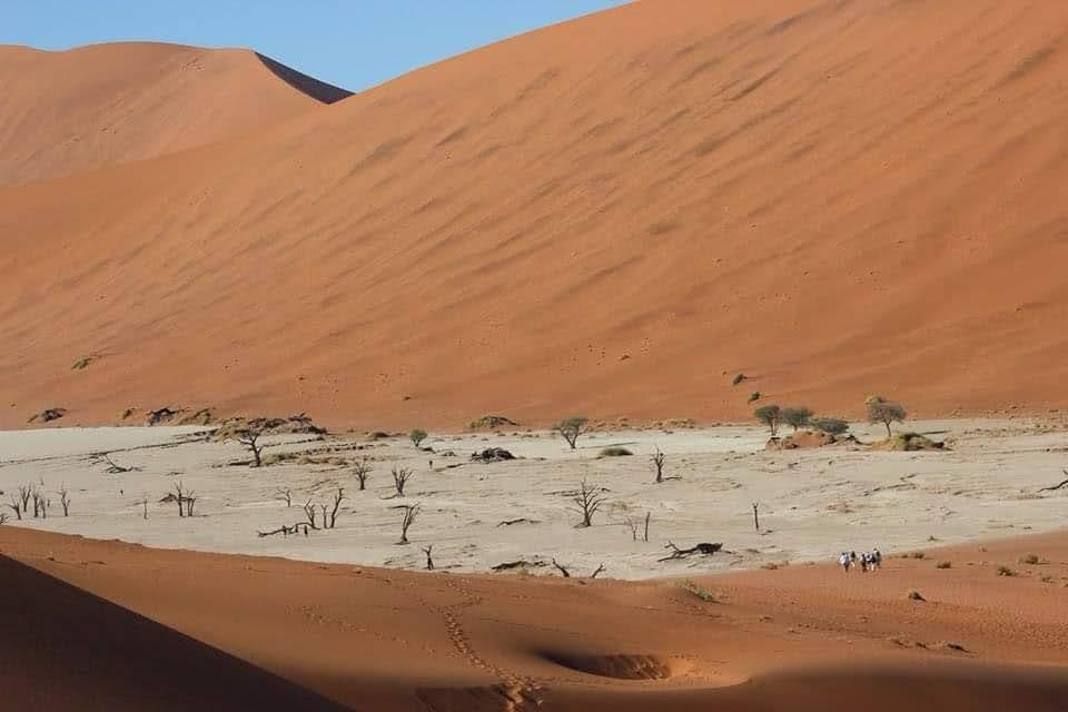 Guinea Fowl Tours and Safaris travel photo