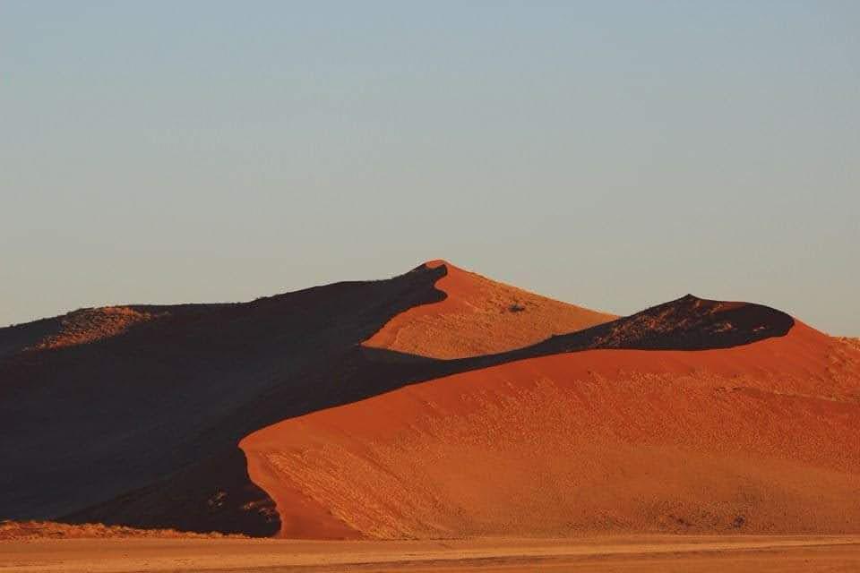 Namibia Highlights 2026, Value Safari