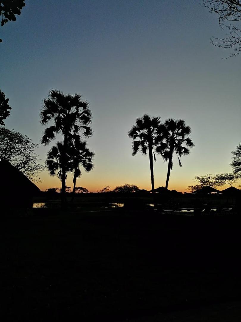 Guinea Fowl Tours and Safaris travel photo